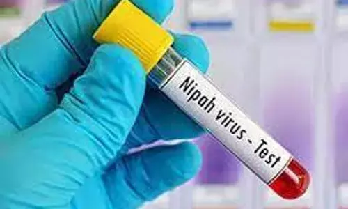 Scientists test world’s first Nipah virus vaccine