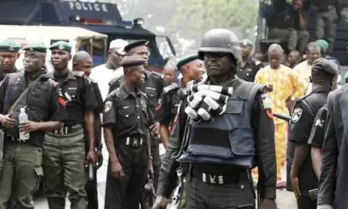 Child trafficking: Police rescue 3 babies, arrest 16 suspects in Gombe Child trafficking: Police rescue 3 babies, arrest 16 suspects in Gombe