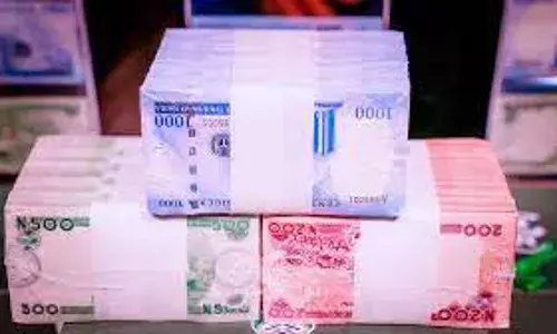 Eradicate sales of new naira notes in Nigeria, Stakeholders urge Tinubu