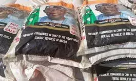 Palliative: We are yet to receive rice – S/South NASS members