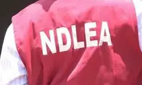 NDLEA seizes Italy-bound hard drugs and “Canadian Loud” in Lagos