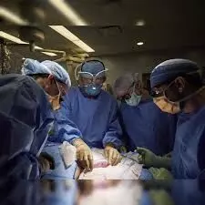 China’s new organ transplant technique will reduce risks to patients – Experts