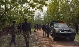 Police comb Imo forest, uncover 3 decomposing bodies Police comb Imo forest, uncover 3 decomposing bodies
