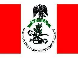 NDLEA arrest 198 suspects, dismantles 21 illicit ”drug joints” in Kano
