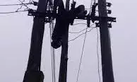 Suspected cable vandal electrocuted in Edo