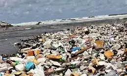 Ban on single-use plastics: Good for environment, bad for business?