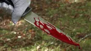 Police arrest woman for allegedly stabbing neighbour to death