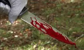 Police arrest woman for allegedly stabbing neighbour to death