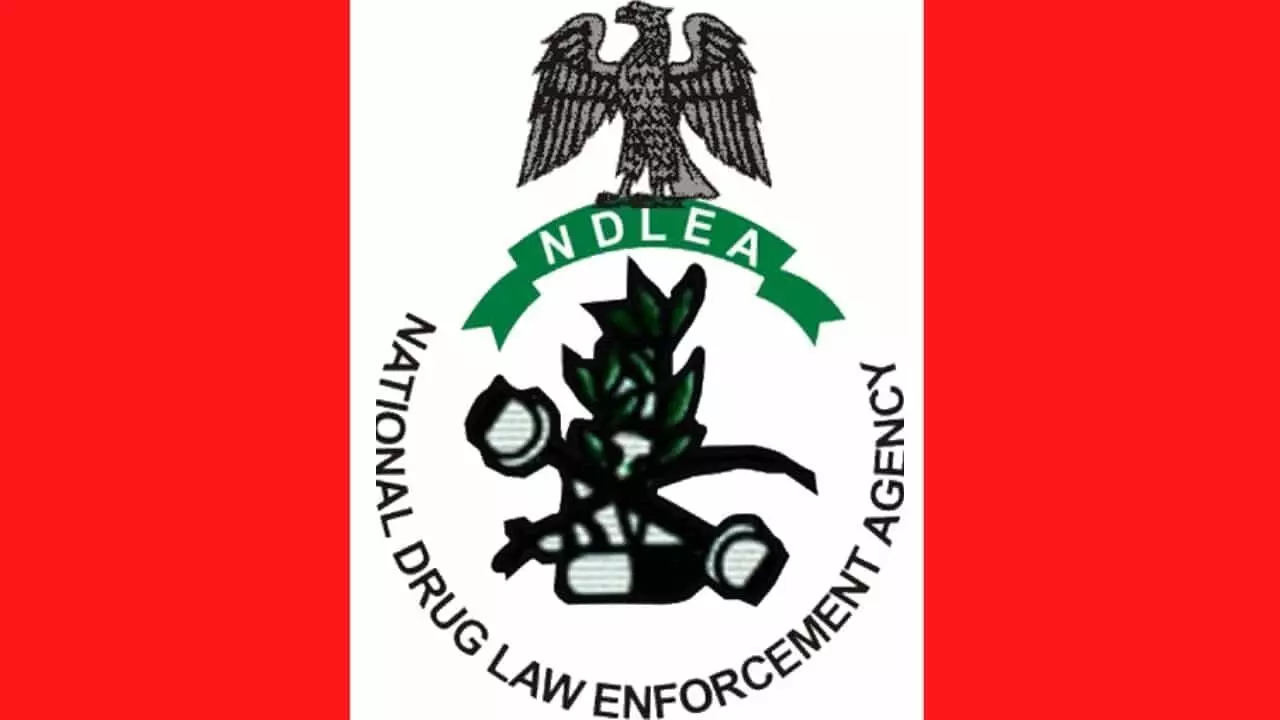 NDLEA arrests female lawyer, boyfriend, mother in Abia