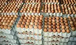 Poultry association blames rising cost of egg on forex, greed