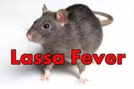 Lassa fever kills 14 in Ebonyi