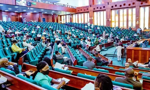Reps to investigate privatisation, concession of FG Silos