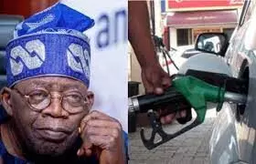 Removal of petroleum subsidy challenging but for long term energy security – Tinubu