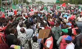 NLC Protest: Police ready for peaceful protest in Kano – CP NLC Protest: Police ready for peaceful protest in Kano – CP
