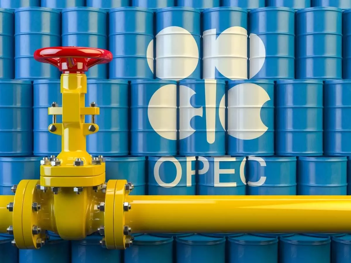 Oil industry needs $14trn investment to meet global demand – OPEC