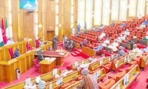 Senate approves bill to extend NASS workers service to 65 years