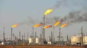 Enforce anti-gas flaring regulations in Niger Delta, Nwoko tells FG