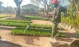 We are working to make Kwara food hub of Nigeria – Commissioner