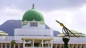 Remove immunity for president, governors- NGO urges lawmakers