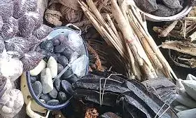 FG set to restore glory of natural medicine — Martins Emeje