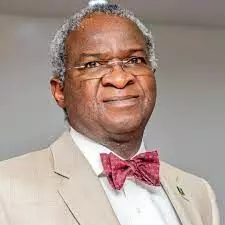 Party owns government, says Fashola