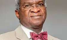 Party owns government, says Fashola