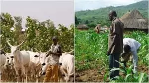 Herders/farmers crisis in Benue politicised – Prof. Uza