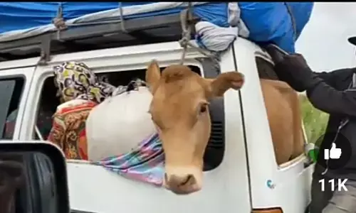 We’ll impound vehicles transporting  human beings with animals – FRSC