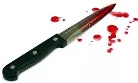 Teenager allegedly kills parents, brother in knife attack