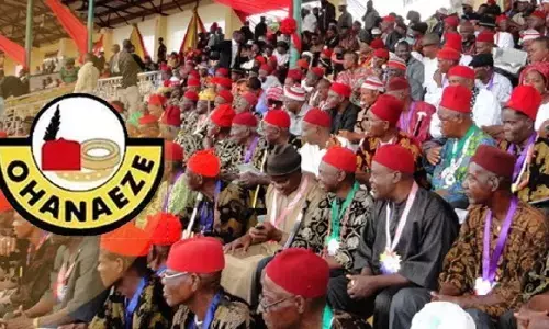 Ohanaeze urges S/East govs, security agencies to end insecurity in Igboland