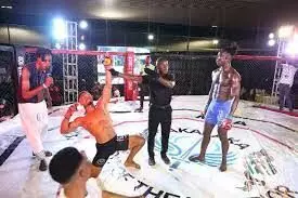 Nigeria, Cameroon defeat tough opponents in MMA fight