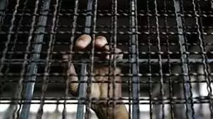 Garden egg seller in police net for allegedly sodomising  mentally disabled boy