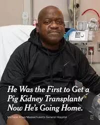 Patient with transplanted pig kidney discharged from U.S. hospital