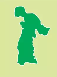 Nigerian US-based physicians begin free medical mission, training