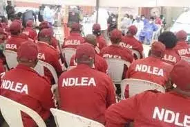 NDLEA: We’re not recruiting, don’t be deceived