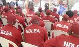 NDLEA: We’re not recruiting, don’t be deceived