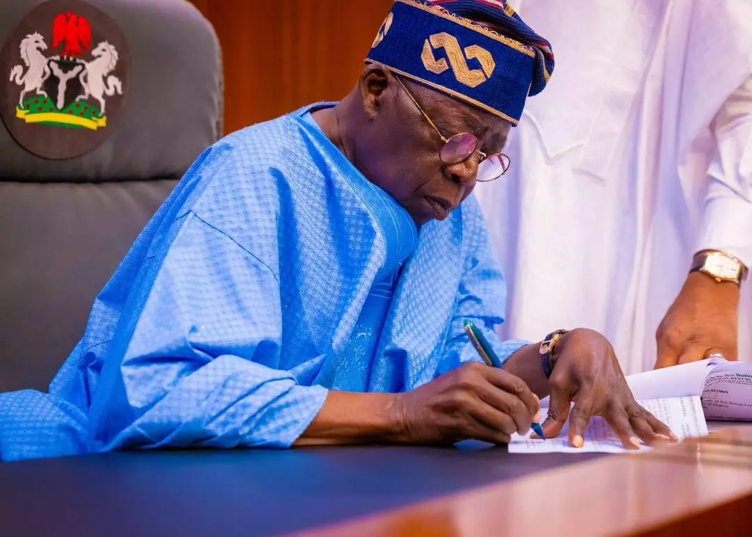 Tinubu makes new appointment for NAICOM, SEC