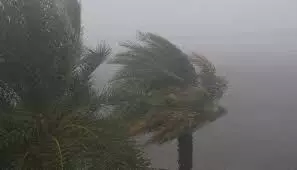 Windstorm destroys houses in Unijos staff quarters