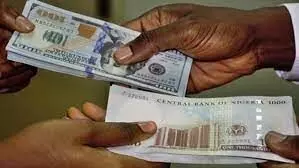Naira loses 5.3% against dollar at official market
