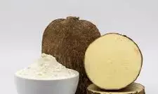 Yam value chain, gold mine waiting to be harnessed – NSPRI boss Yam value chain, gold mine waiting to be harnessed – NSPRI boss