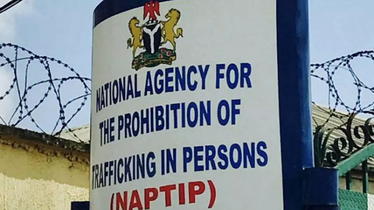 Practice female circumcision, risk 4 years imprisonment – NAPTIP