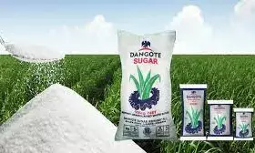 Dangote targets 700,000MT domestic production by 2029