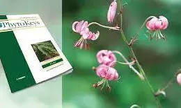 New flowering plant species discovered in SW China