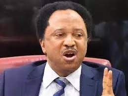 Nigeria should be development giant – Shehu Sani