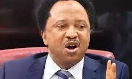 Nigeria should be development giant – Shehu Sani