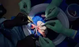 I was offered N1m for my kidney to be removed- 16-year-old boy tells court