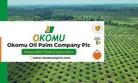 Okomu oil threatens shut down of operations over militants’ invasions of plantation Okomu oil threatens shut down of operations over militants’ invasions of plantation