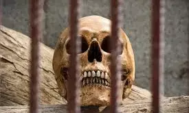 Cleaner gets life sentence over murder of elderly woman