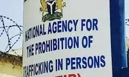 NAPTIP decries recent surge in baby factories across Nigeria