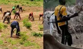 5 injured in farmers-herders’ clash in Jigawa – Police